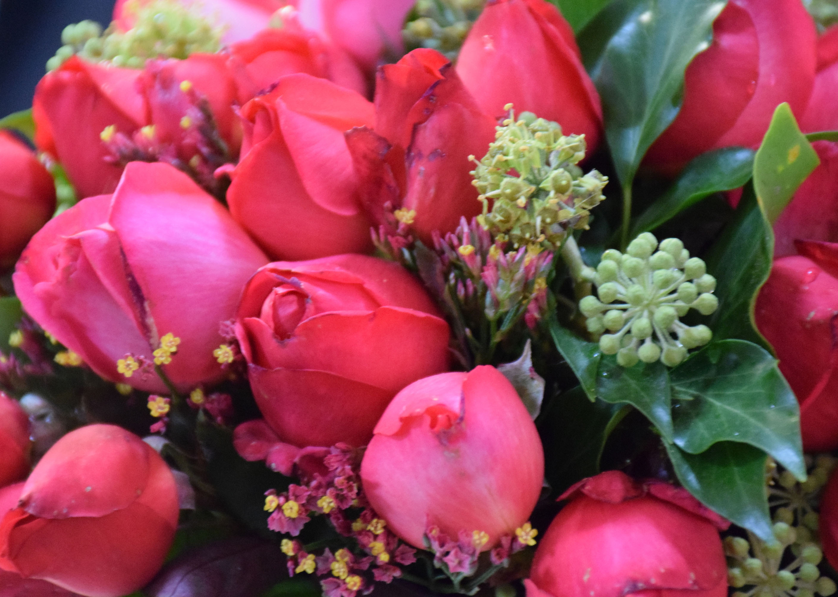 Rose Laure Calamy ® Fel 14013 - Buissons à grandes fleurs, Fleurs ...